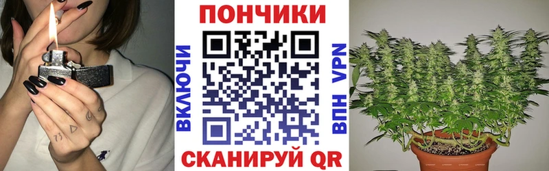 ОМГ ОМГ ССЫЛКА  продажа наркотиков  Киров  Бошки марихуана тримм 